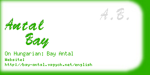 antal bay business card